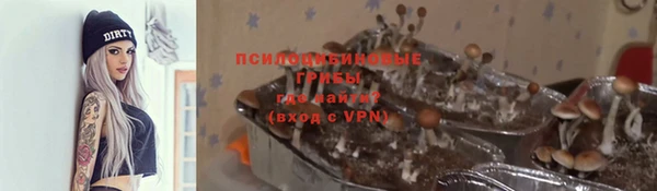 марки lsd Абаза