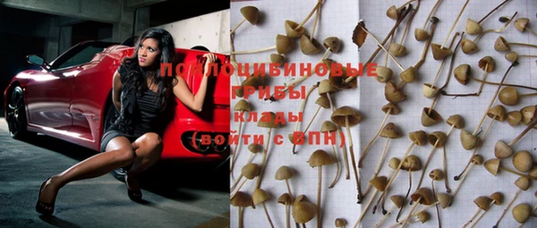 тгк Абдулино