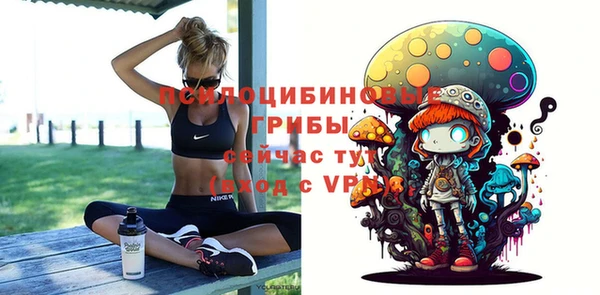 марки lsd Абаза