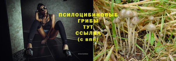 тгк Абдулино