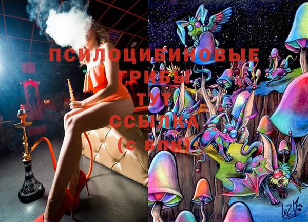 тгк Абдулино
